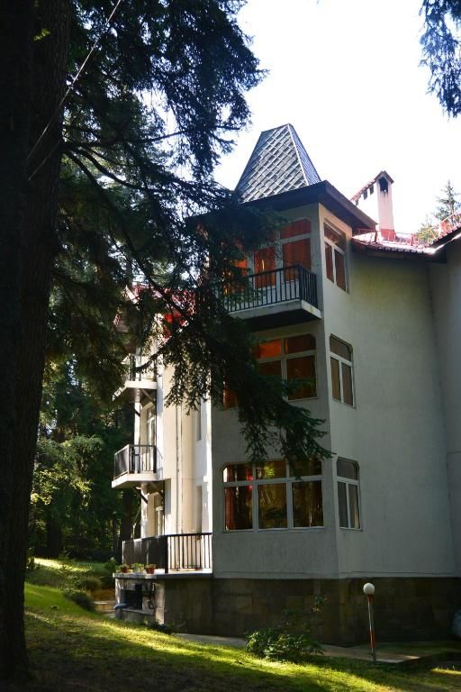 Дома для отпуска Villa Elena Боровец-27