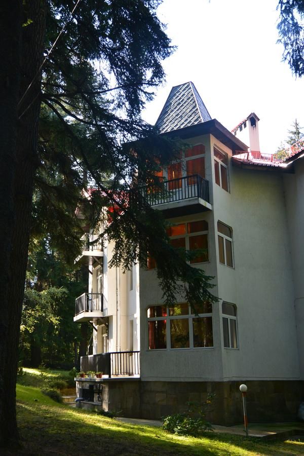 Дома для отпуска Villa Elena Боровец-6