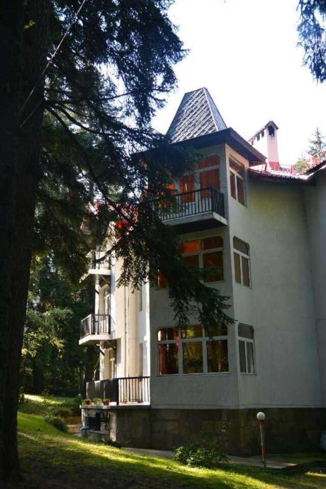 Дома для отпуска Villa Elena Боровец-26